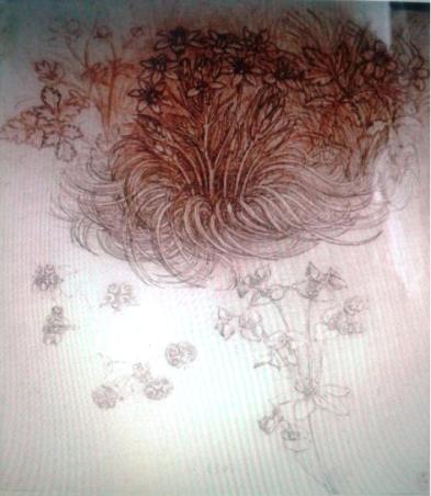 a dibujo de planta.jpg