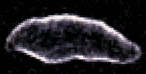 geographos_silueta.jpg