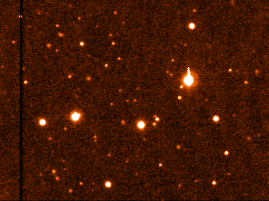 tn2004dw.gif
